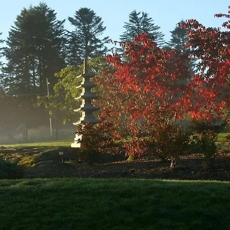 Vy - A Gem With Private In Villa *