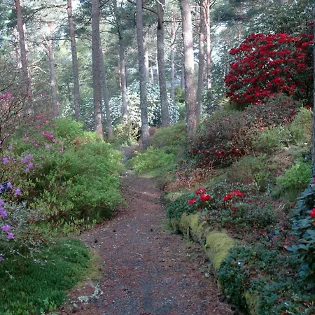 Vy - A Gem With Private In Βίλα *