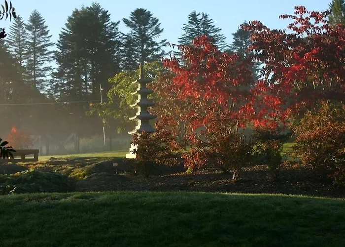 Vy - A Gem With Private In וילה *