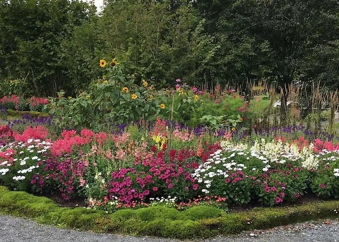 Vy - A Gem With Private In